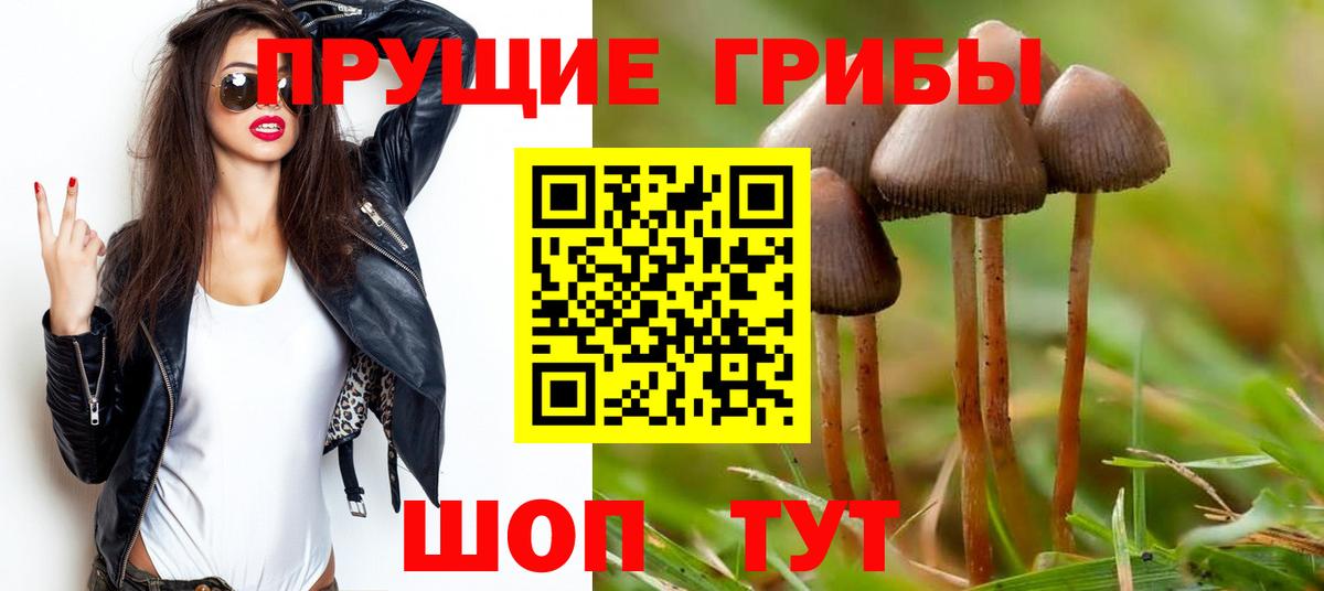 Галлюциногенные грибы Magic Shrooms  Вход с VPN  наркошоп  Ухта 